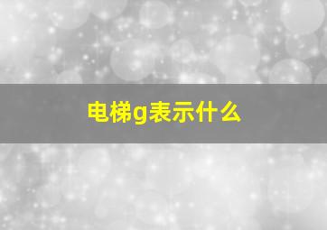 电梯g表示什么