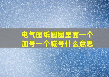 电气图纸圆圈里面一个加号一个减号什么意思