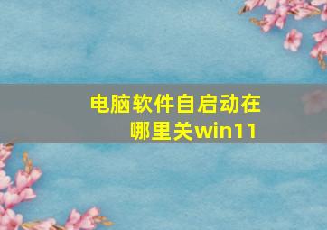 电脑软件自启动在哪里关win11