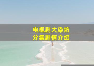 电视剧大染坊分集剧情介绍