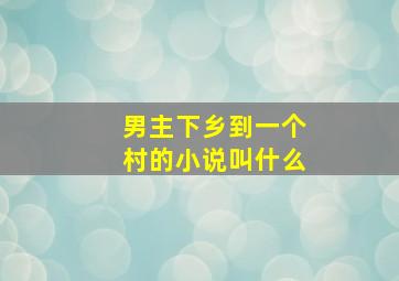 男主下乡到一个村的小说叫什么