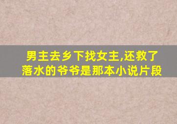 男主去乡下找女主,还救了落水的爷爷是那本小说片段