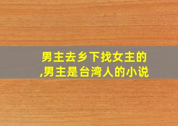 男主去乡下找女主的,男主是台湾人的小说