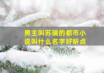 男主叫苏瑞的都市小说叫什么名字好听点