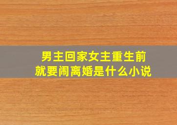 男主回家女主重生前就要闹离婚是什么小说