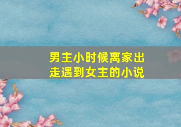 男主小时候离家出走遇到女主的小说