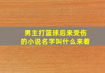 男主打篮球后来受伤的小说名字叫什么来着