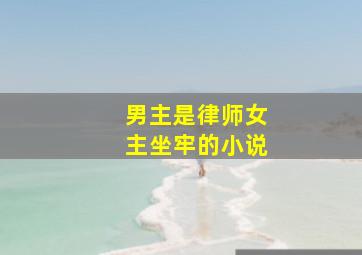 男主是律师女主坐牢的小说