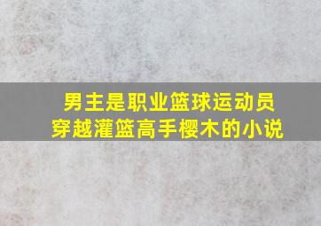 男主是职业篮球运动员穿越灌篮高手樱木的小说