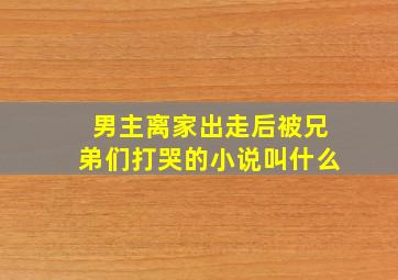 男主离家出走后被兄弟们打哭的小说叫什么