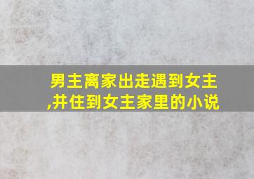 男主离家出走遇到女主,并住到女主家里的小说