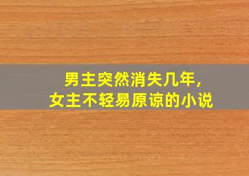 男主突然消失几年,女主不轻易原谅的小说