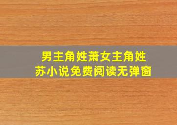 男主角姓萧女主角姓苏小说免费阅读无弹窗