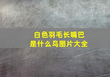 白色羽毛长嘴巴是什么鸟图片大全