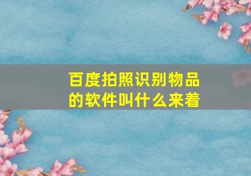 百度拍照识别物品的软件叫什么来着