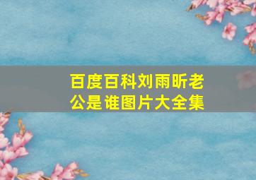 百度百科刘雨昕老公是谁图片大全集