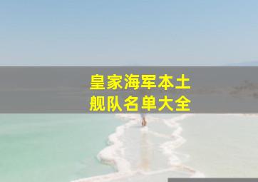 皇家海军本土舰队名单大全