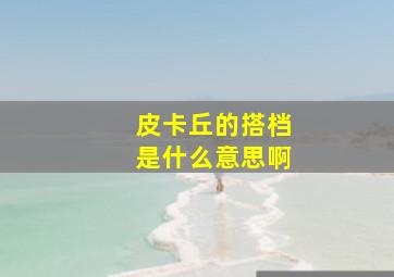 皮卡丘的搭档是什么意思啊