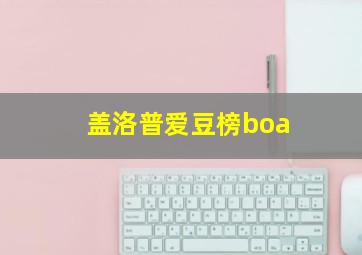 盖洛普爱豆榜boa