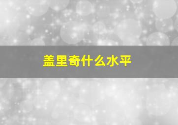 盖里奇什么水平