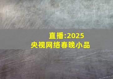 直播:2025央视网络春晚小品