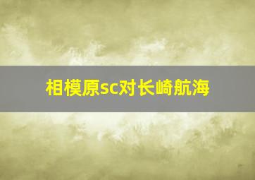 相模原sc对长崎航海