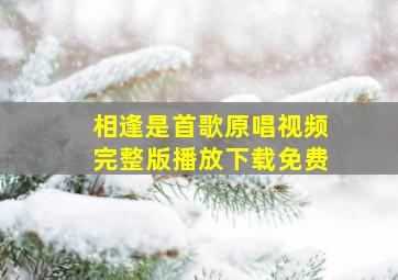 相逢是首歌原唱视频完整版播放下载免费