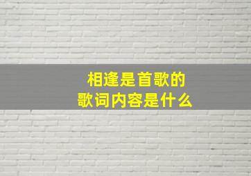 相逢是首歌的歌词内容是什么