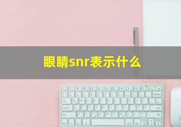 眼睛snr表示什么