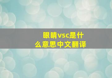 眼睛vsc是什么意思中文翻译