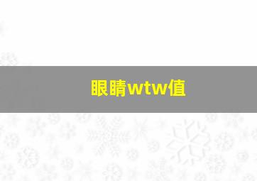 眼睛wtw值