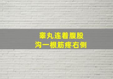 睾丸连着腹股沟一根筋疼右侧