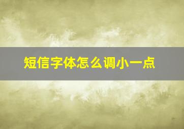 短信字体怎么调小一点