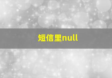 短信里null