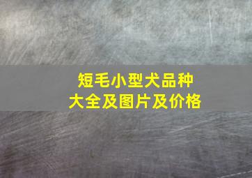 短毛小型犬品种大全及图片及价格