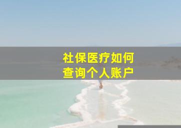 社保医疗如何查询个人账户