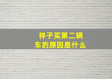 祥子买第二辆车的原因是什么