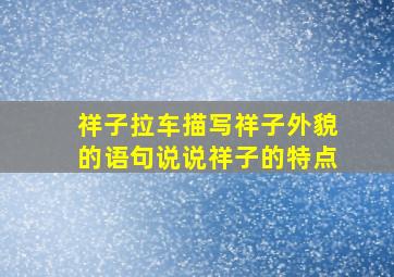 祥子拉车描写祥子外貌的语句说说祥子的特点