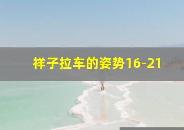 祥子拉车的姿势16-21