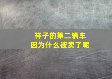 祥子的第二辆车因为什么被卖了呢