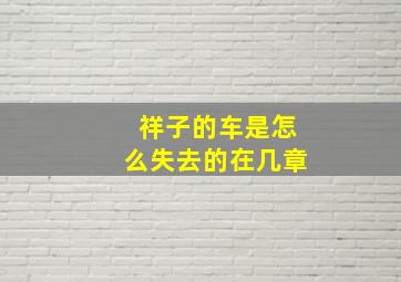 祥子的车是怎么失去的在几章