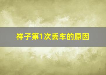 祥子第1次丢车的原因