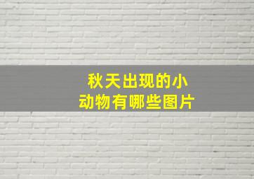 秋天出现的小动物有哪些图片