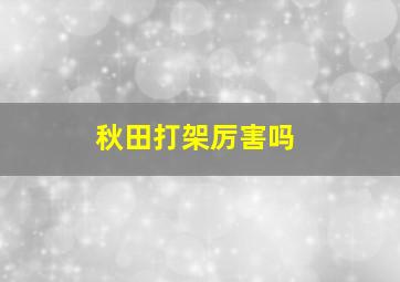 秋田打架厉害吗