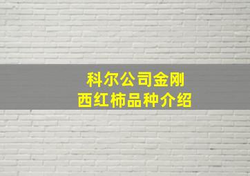 科尔公司金刚西红柿品种介绍