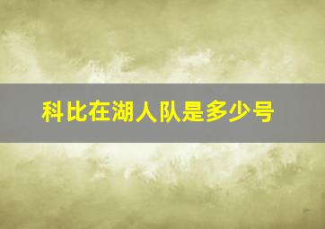 科比在湖人队是多少号