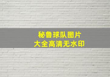 秘鲁球队图片大全高清无水印