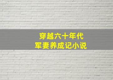 穿越六十年代军妻养成记小说