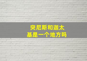 突尼斯和迦太基是一个地方吗