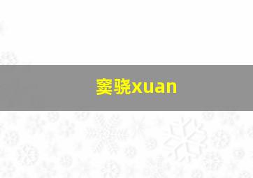 窦骁xuan